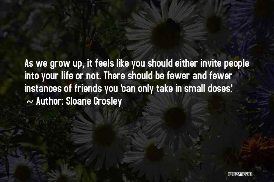 Having Fewer Friends Quotes By Sloane Crosley