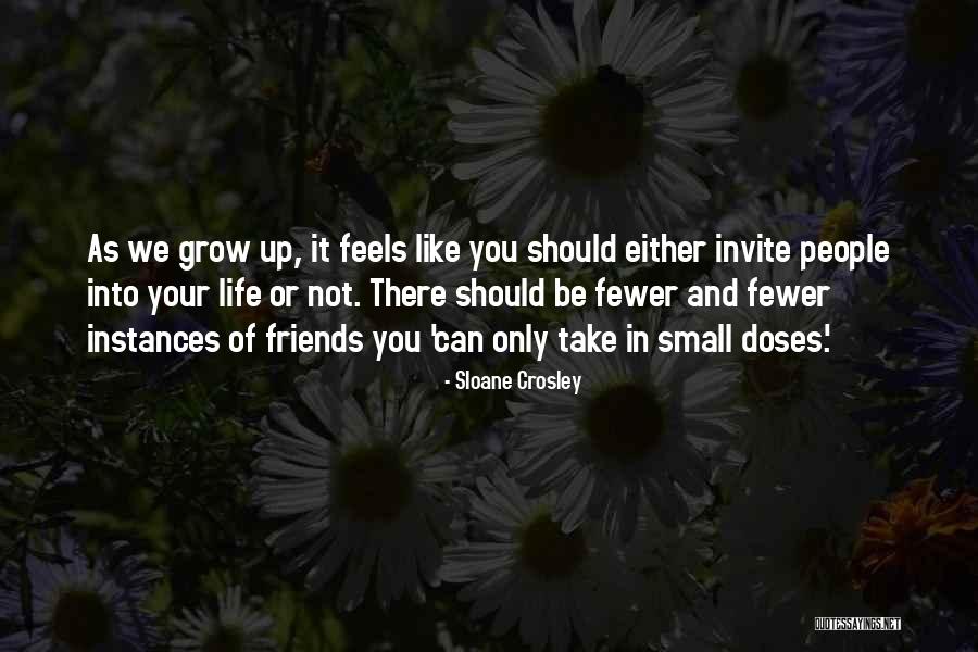 Having Fewer Friends Quotes By Sloane Crosley