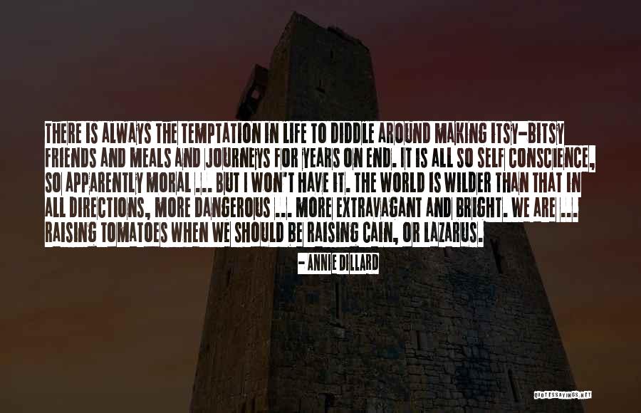 Having Friends Around The World Quotes By Annie Dillard