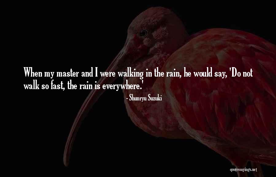 Having Fun In The Rain Quotes By Shunryu Suzuki