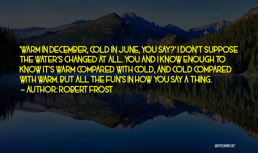 Having Fun In The Water Quotes By Robert Frost