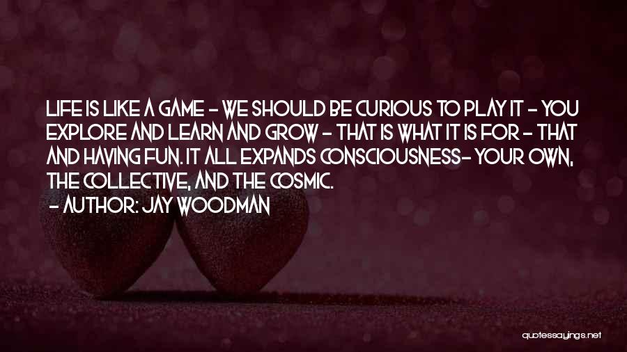 Having Fun Life Quotes By Jay Woodman