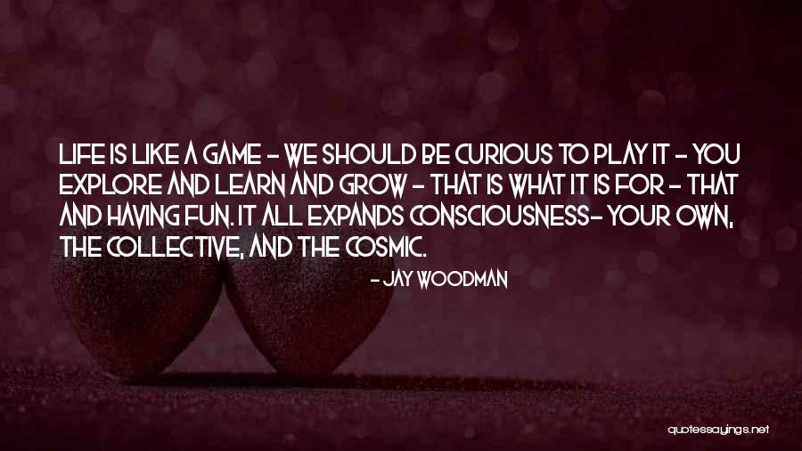 Having Fun Life Quotes By Jay Woodman