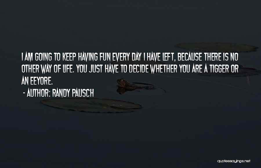 Having Fun Life Quotes By Randy Pausch