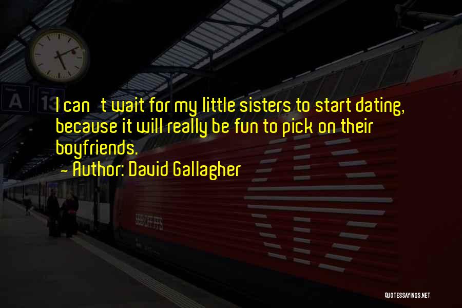 Having Fun With Sisters Quotes By David Gallagher