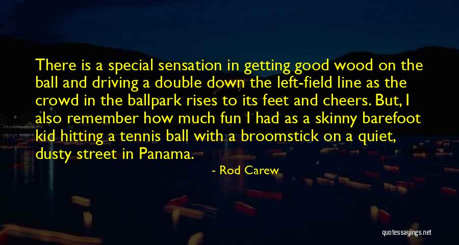 Having Fun With Someone Special Quotes By Rod Carew Having Fun With Someone Special Quotes By Rod Carew