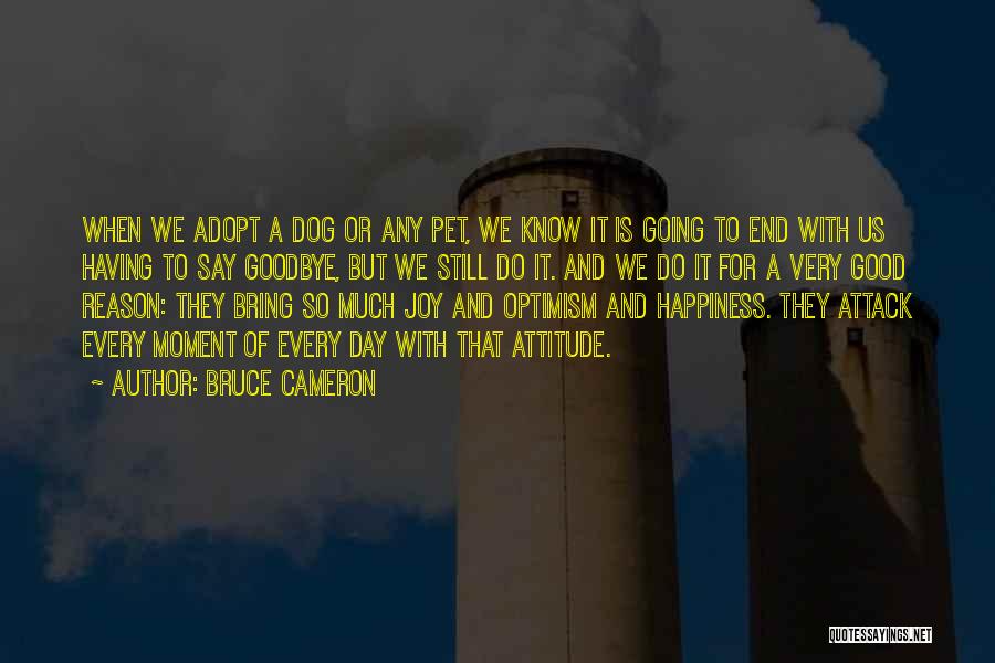Having Good Day Quotes By Bruce Cameron