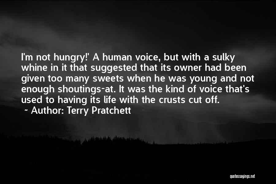 Having Had Enough Quotes By Terry Pratchett