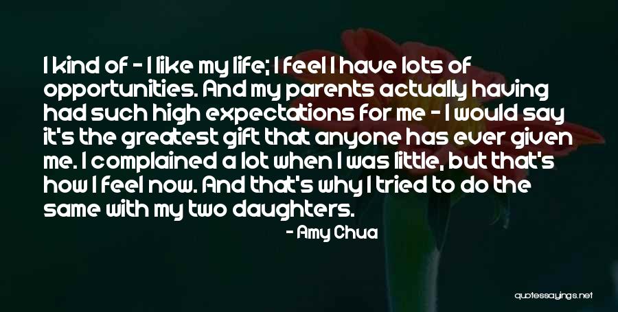 Having High Expectations Quotes By Amy Chua Having High Expectations Quotes By Amy Chua