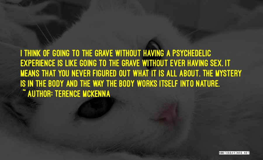 Having It All Figured Out Quotes By Terence McKenna