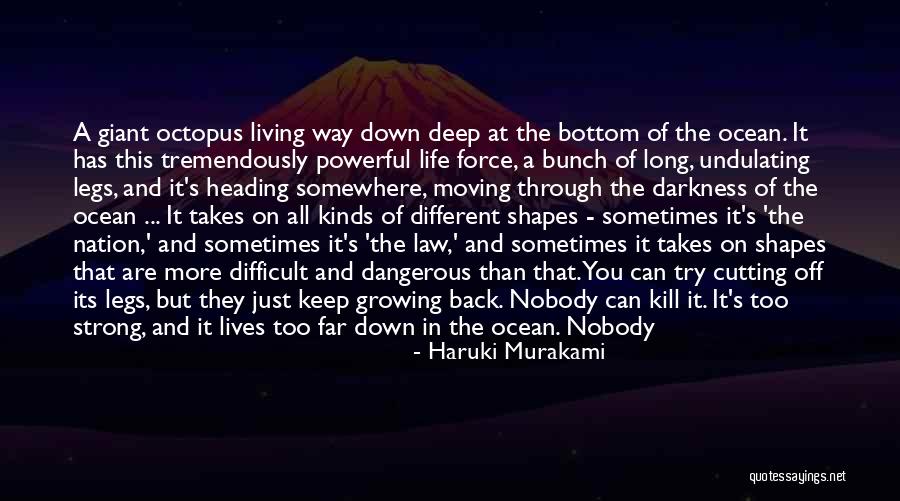 Having Long Legs Quotes By Haruki Murakami