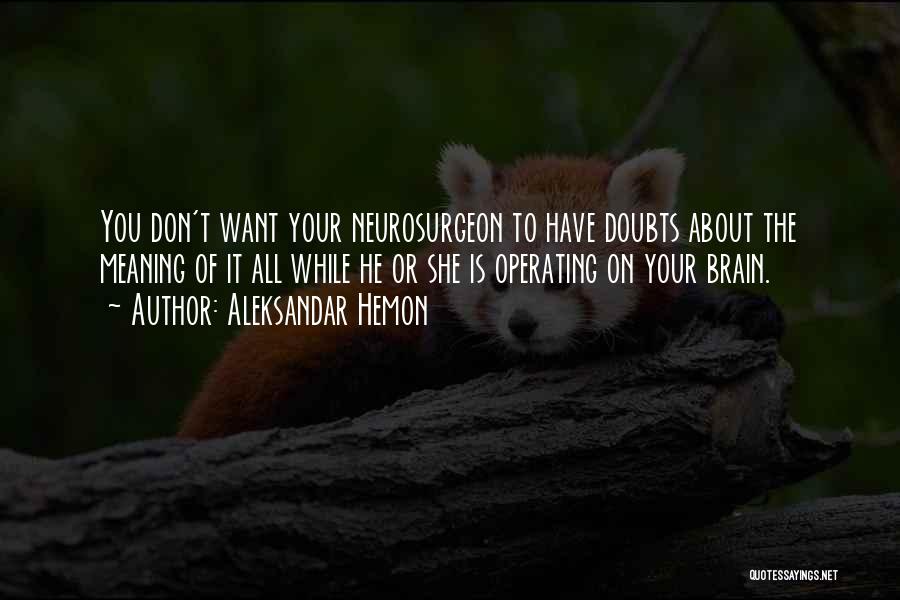 Having No Doubts Quotes By Aleksandar Hemon