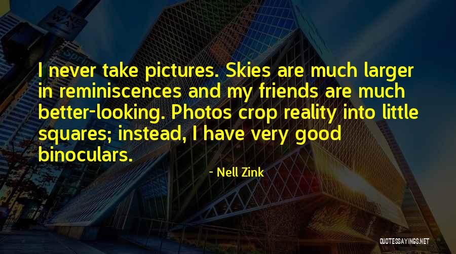 Having No Good Friends Quotes By Nell Zink