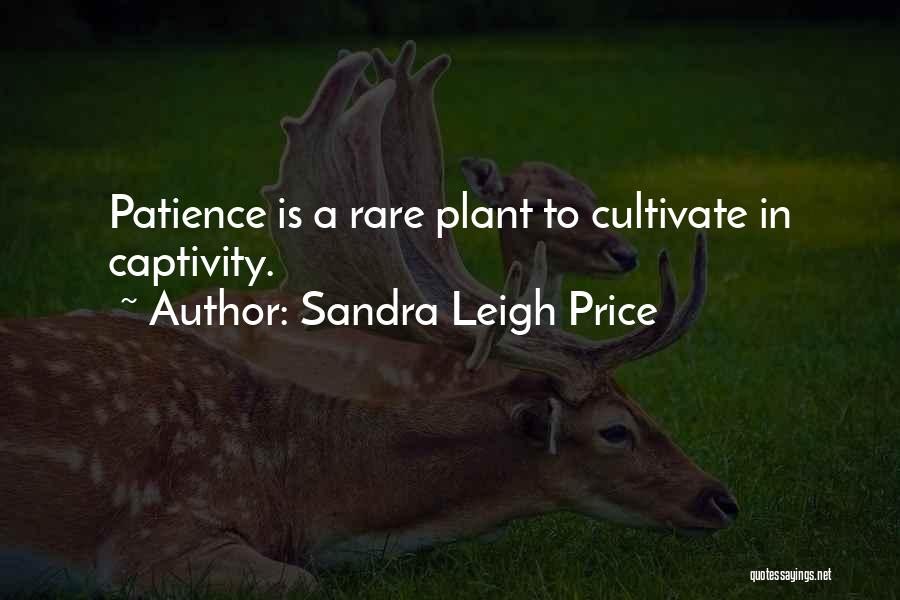 Having No Patience Quotes By Sandra Leigh Price