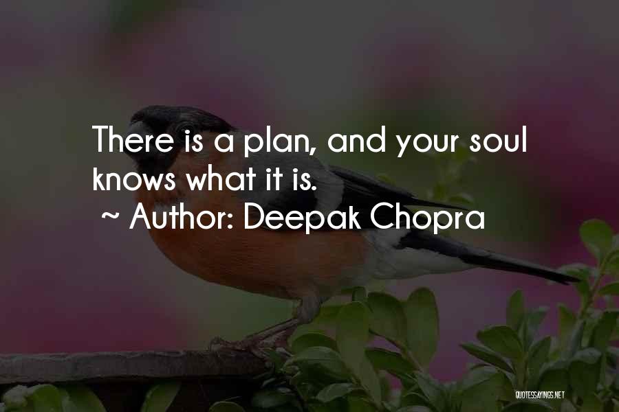 Having No Plans Quotes By Deepak Chopra
