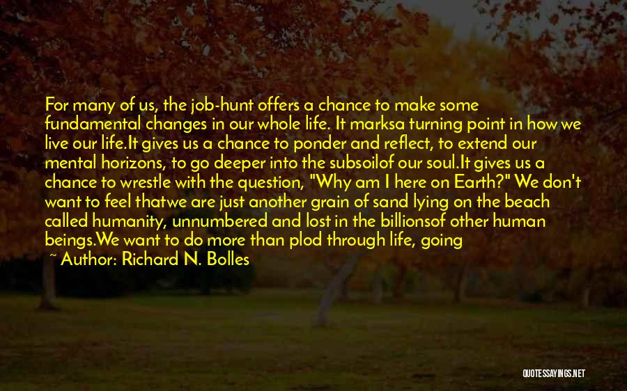 Having One Chance Quotes By Richard N. Bolles