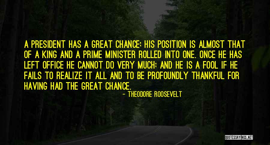 Having One Chance Quotes By Theodore Roosevelt