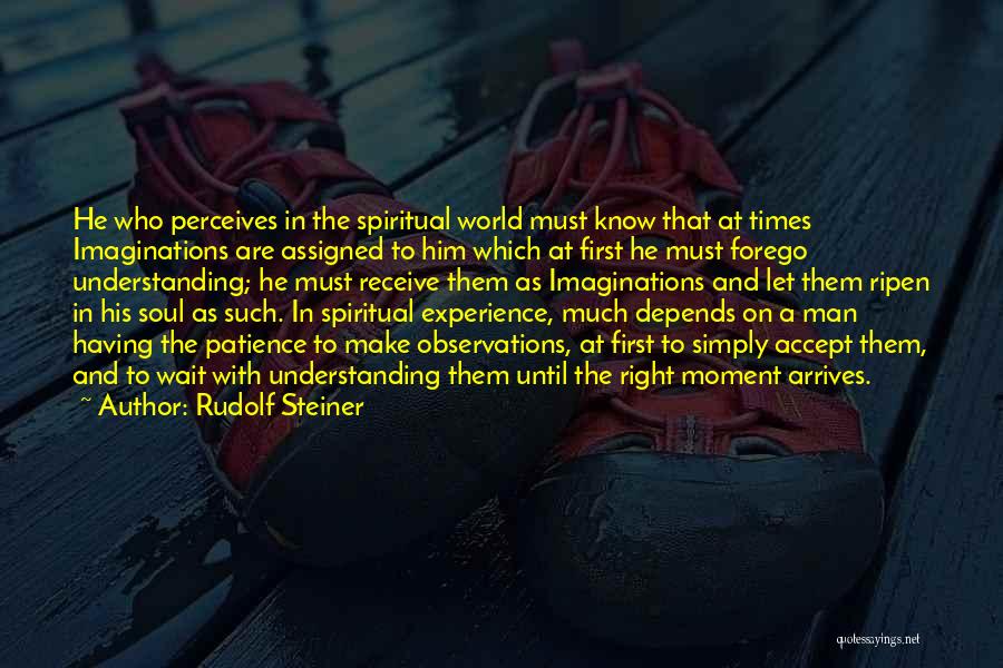 Having Patience Quotes By Rudolf Steiner
