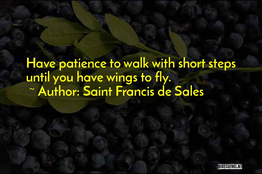 Having Patience Quotes By Saint Francis De Sales