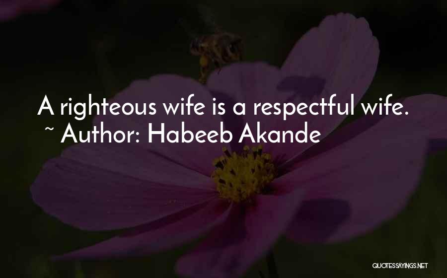 Having Respect For Others Relationships Quotes By Habeeb Akande