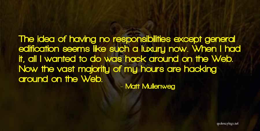 Having Responsibilities Quotes By Matt Mullenweg Having Responsibilities Quotes By Matt Mullenweg
