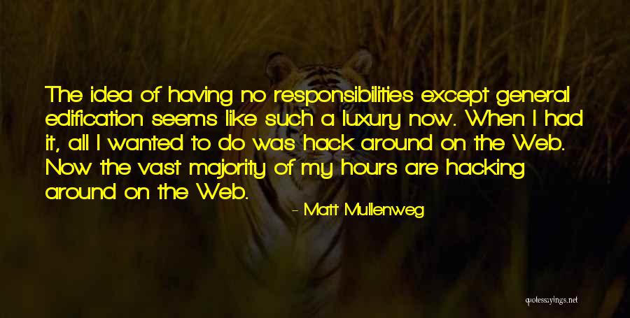 Having Responsibilities Quotes By Matt Mullenweg