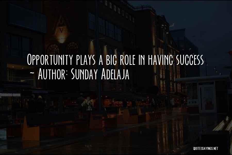 Having Riches Quotes By Sunday Adelaja