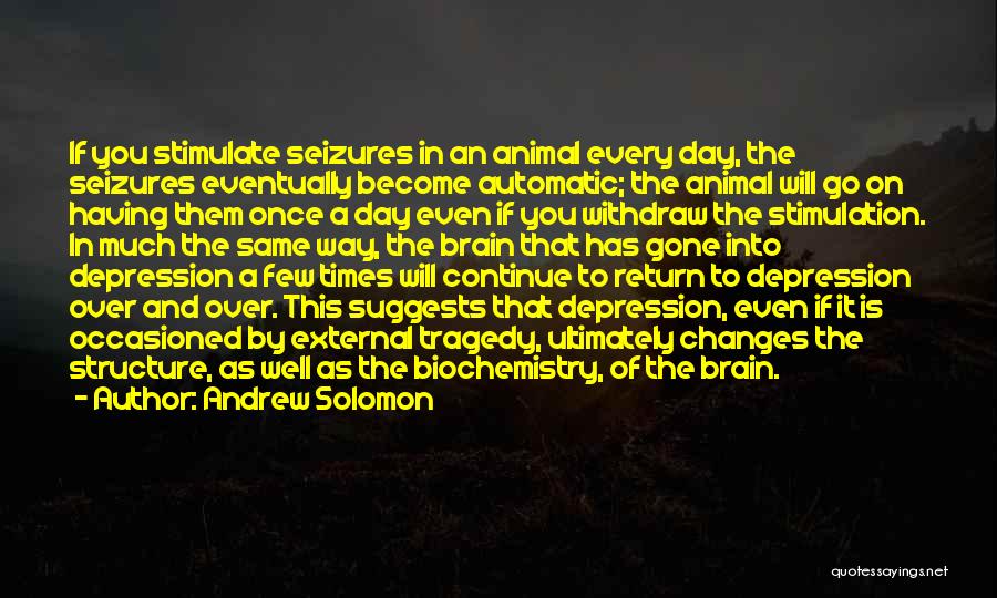 Having Seizures Quotes By Andrew Solomon