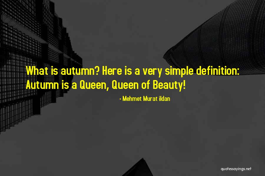 Having Simple Beauty Quotes By Mehmet Murat Ildan