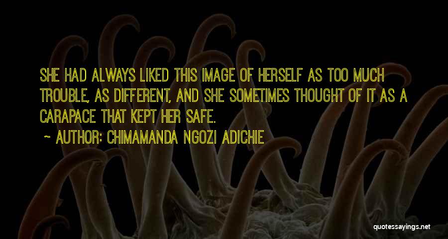 Having Someone Always There For You Quotes By Chimamanda Ngozi Adichie