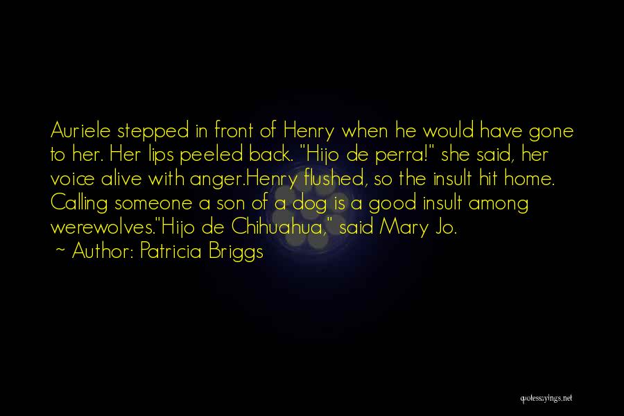 Having Something Good In Front Of You Quotes By Patricia Briggs
