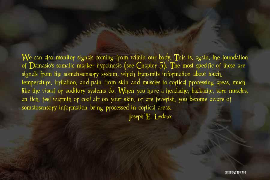 Having Sore Muscles Quotes By Joseph E. Ledoux Having Sore Muscles Quotes By Joseph E. Ledoux