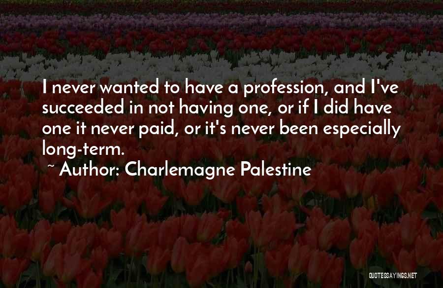 Having Succeeded Quotes By Charlemagne Palestine