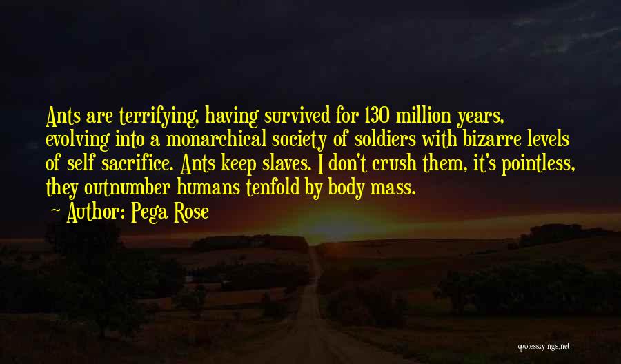 Having Survived Quotes By Pega Rose