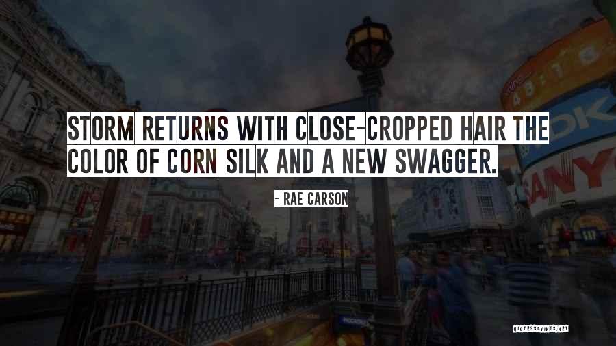 Having Swagger Quotes By Rae Carson Having Swagger Quotes By Rae Carson