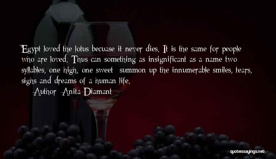 Having Sweet Dreams Quotes By Anita Diamant