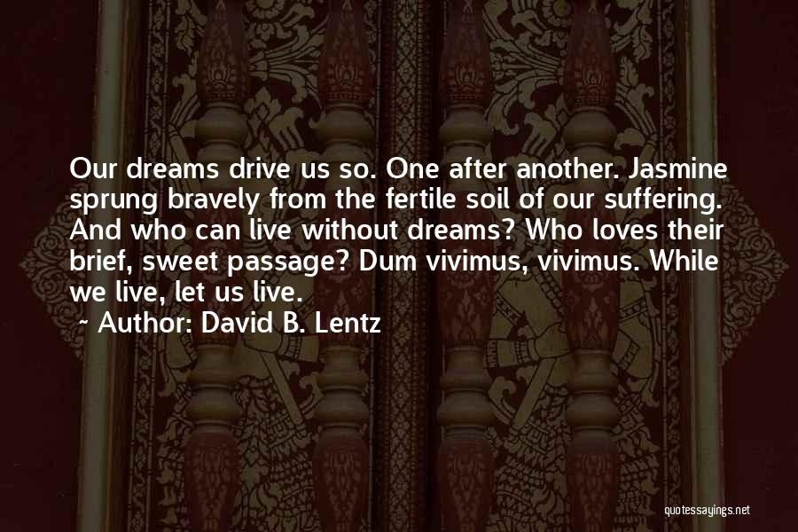 Having Sweet Dreams Quotes By David B. Lentz