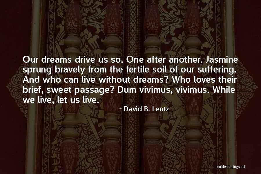 Having Sweet Dreams Quotes By David B. Lentz