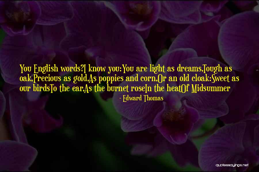 Having Sweet Dreams Quotes By Edward Thomas