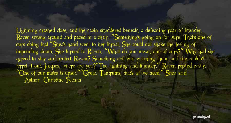 Having Tantrums Quotes By Christine Feehan