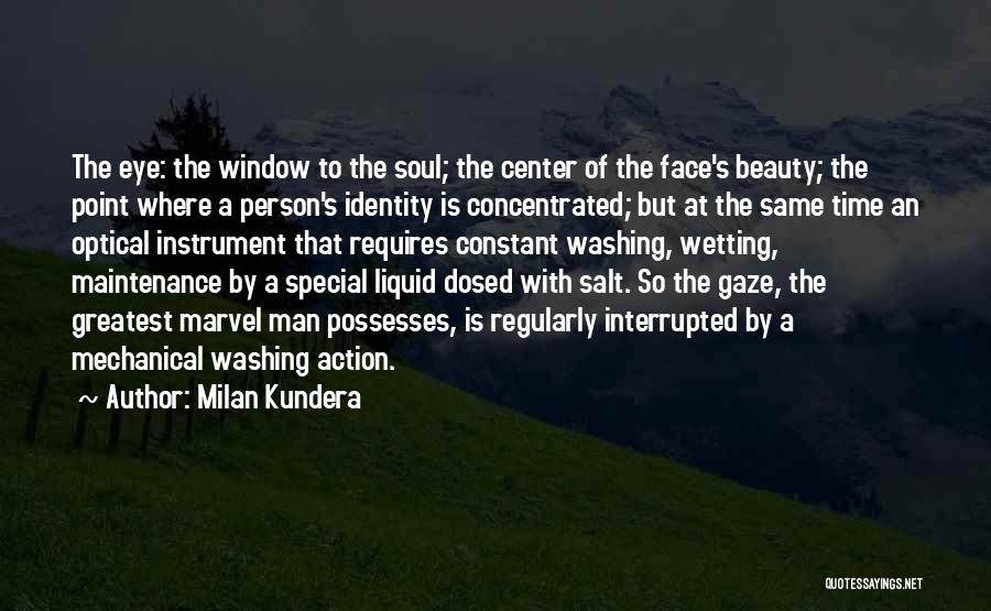 Having That Special Person Quotes By Milan Kundera