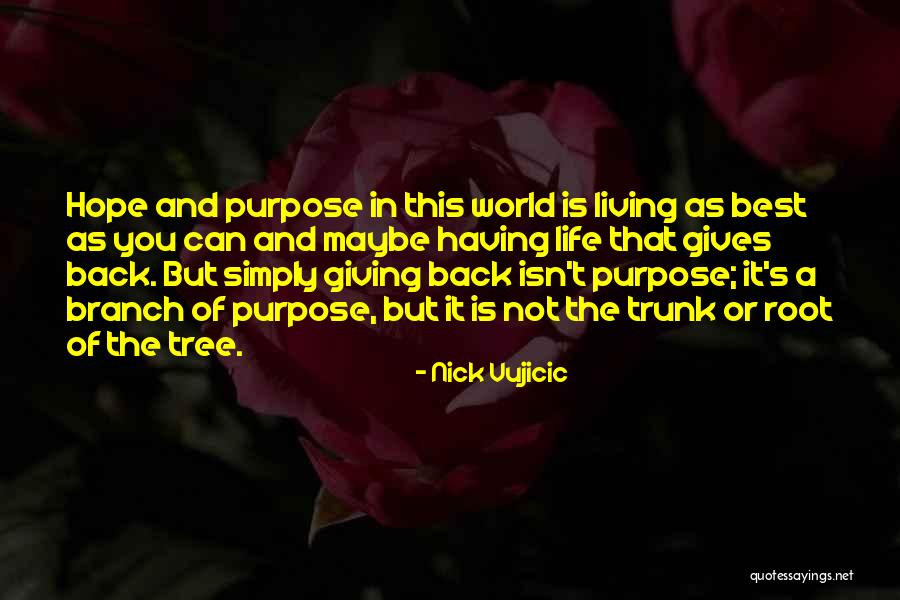 Having The Best Life Quotes By Nick Vujicic