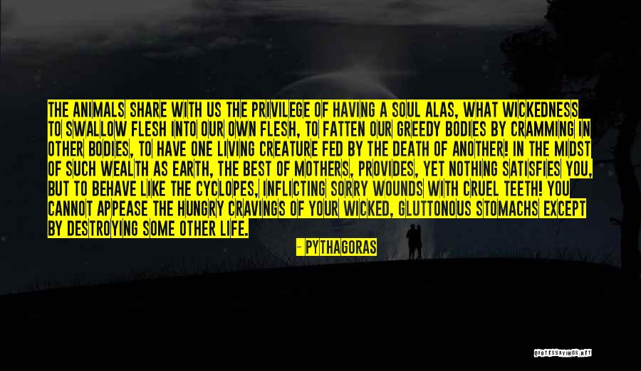 Having The Best Life Quotes By Pythagoras