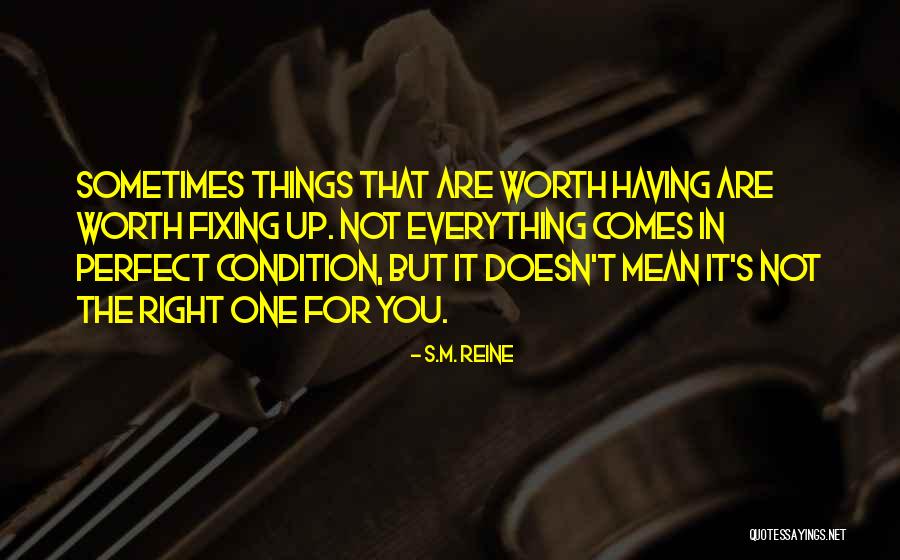 Having The Right One Quotes By S.M. Reine