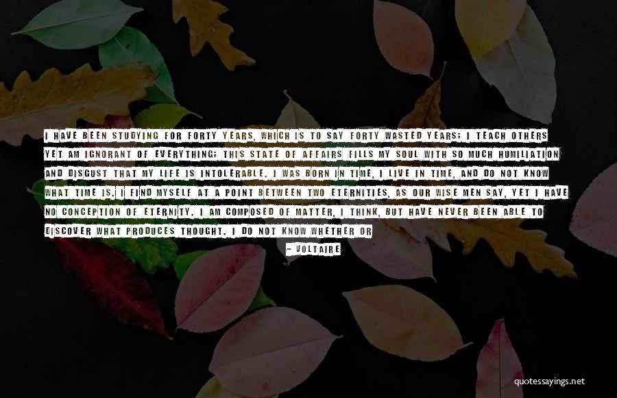 Having The Time Of My Life Quotes By Voltaire Having The Time Of My Life Quotes By Voltaire