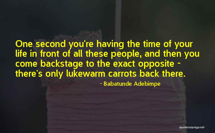 Having The Time Of Your Life Quotes By Babatunde Adebimpe