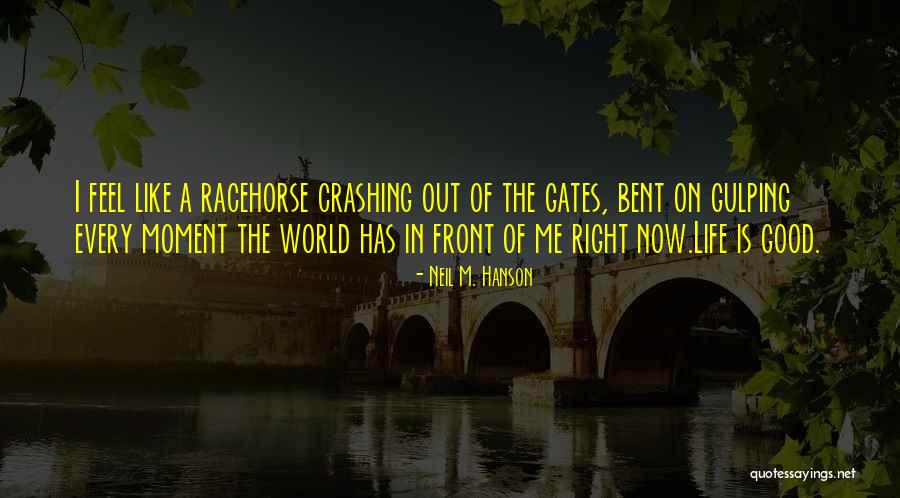 Having The Whole World In Front Of You Quotes By Neil M. Hanson Having The Whole World In Front Of You Quotes By Neil M. Hanson