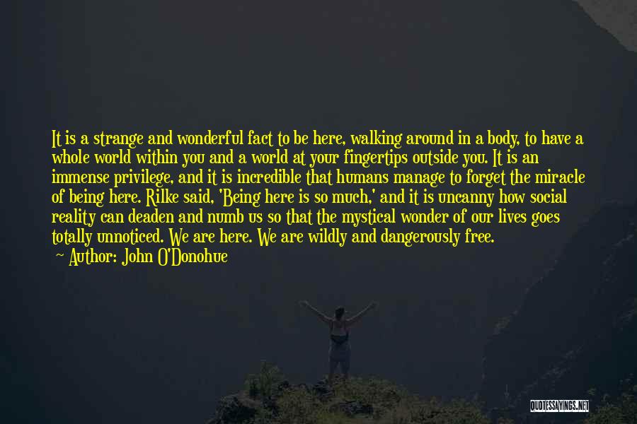 Having The World At Your Fingertips Quotes By John O'Donohue