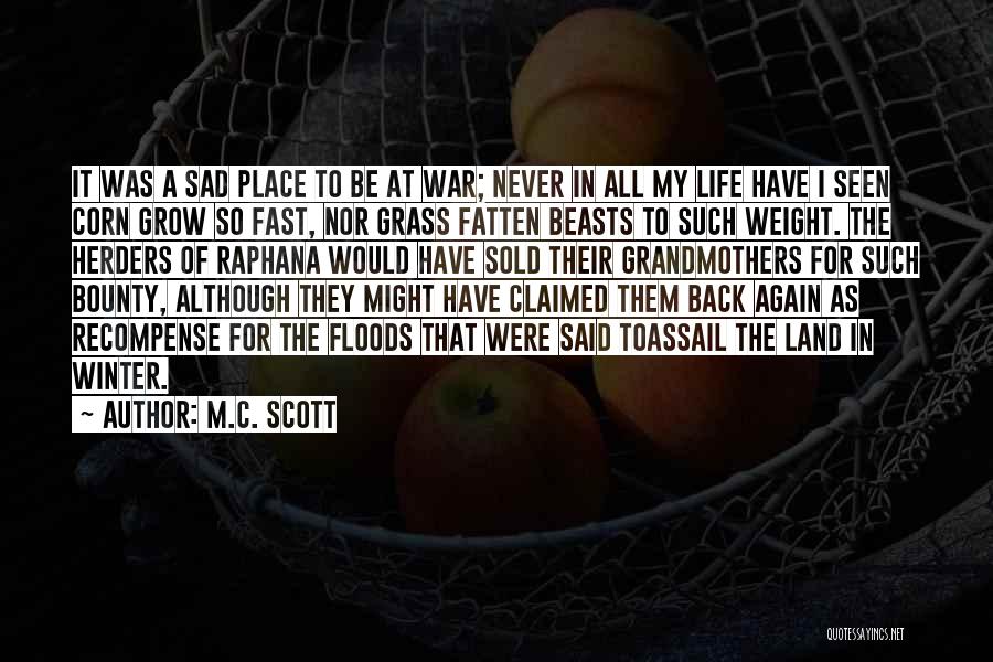 Having To Grow Up Fast Quotes By M.C. Scott