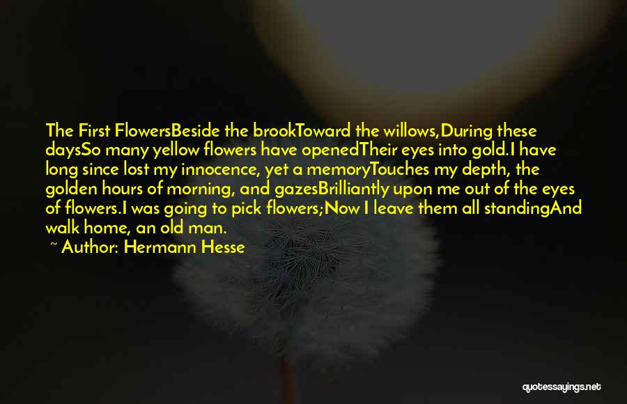 Having To Leave Home Quotes By Hermann Hesse